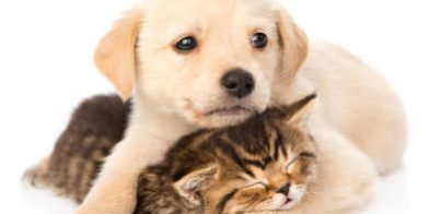 LOVING OTHERS LOVING OTHERS