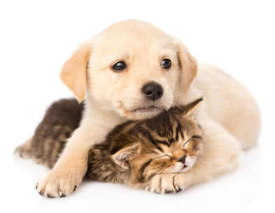 LOVING OTHERS LOVING OTHERS