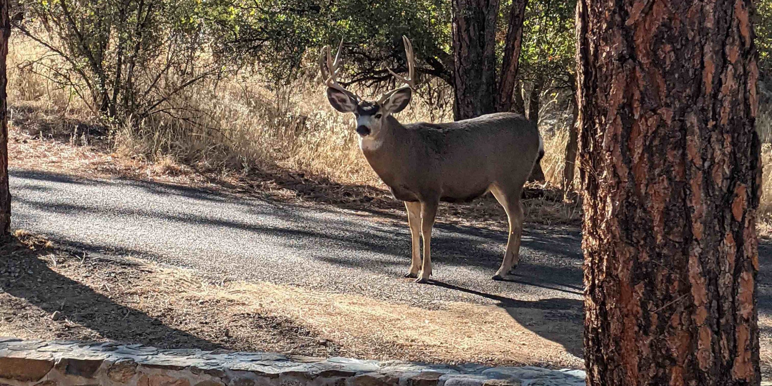 2020 A Challenging Year