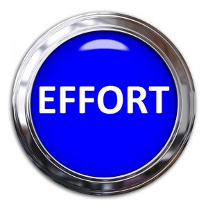 EFFORT & SELF-WORTH