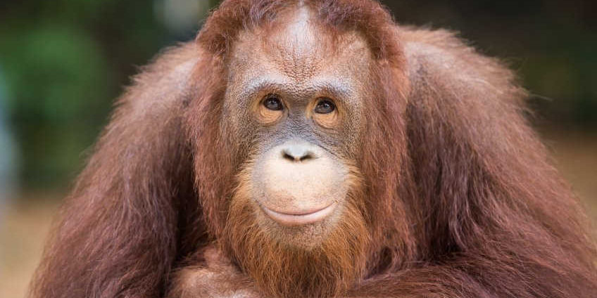 Leadership Arrogance