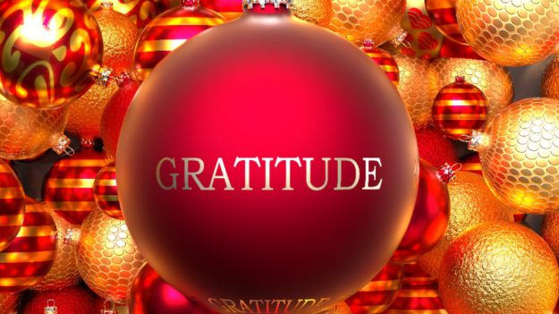 Holidays, Gratitude, & YOU