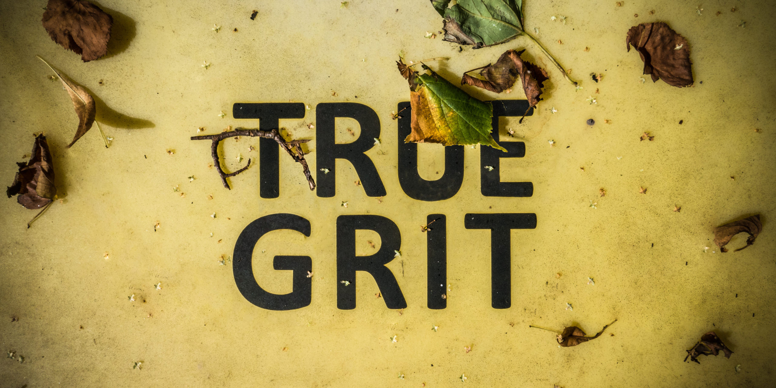 True Grit