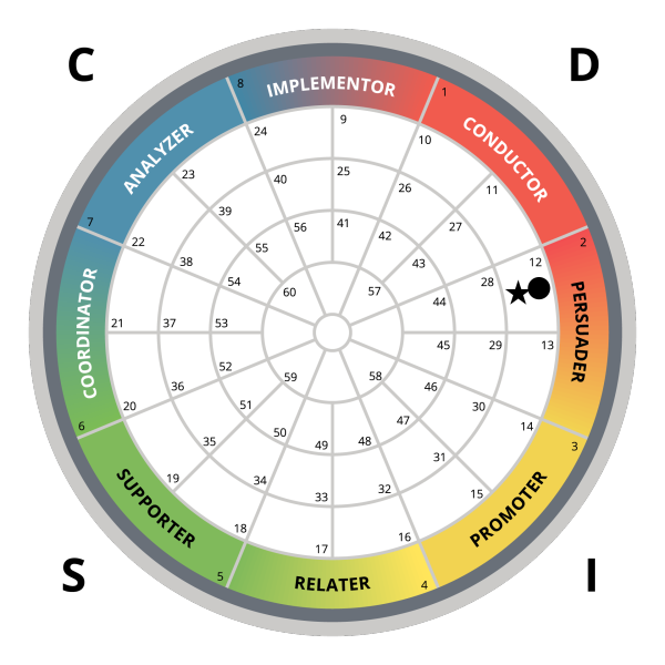 DISC ASSESSMENT -  TRIMETRIX EQ - Image 4