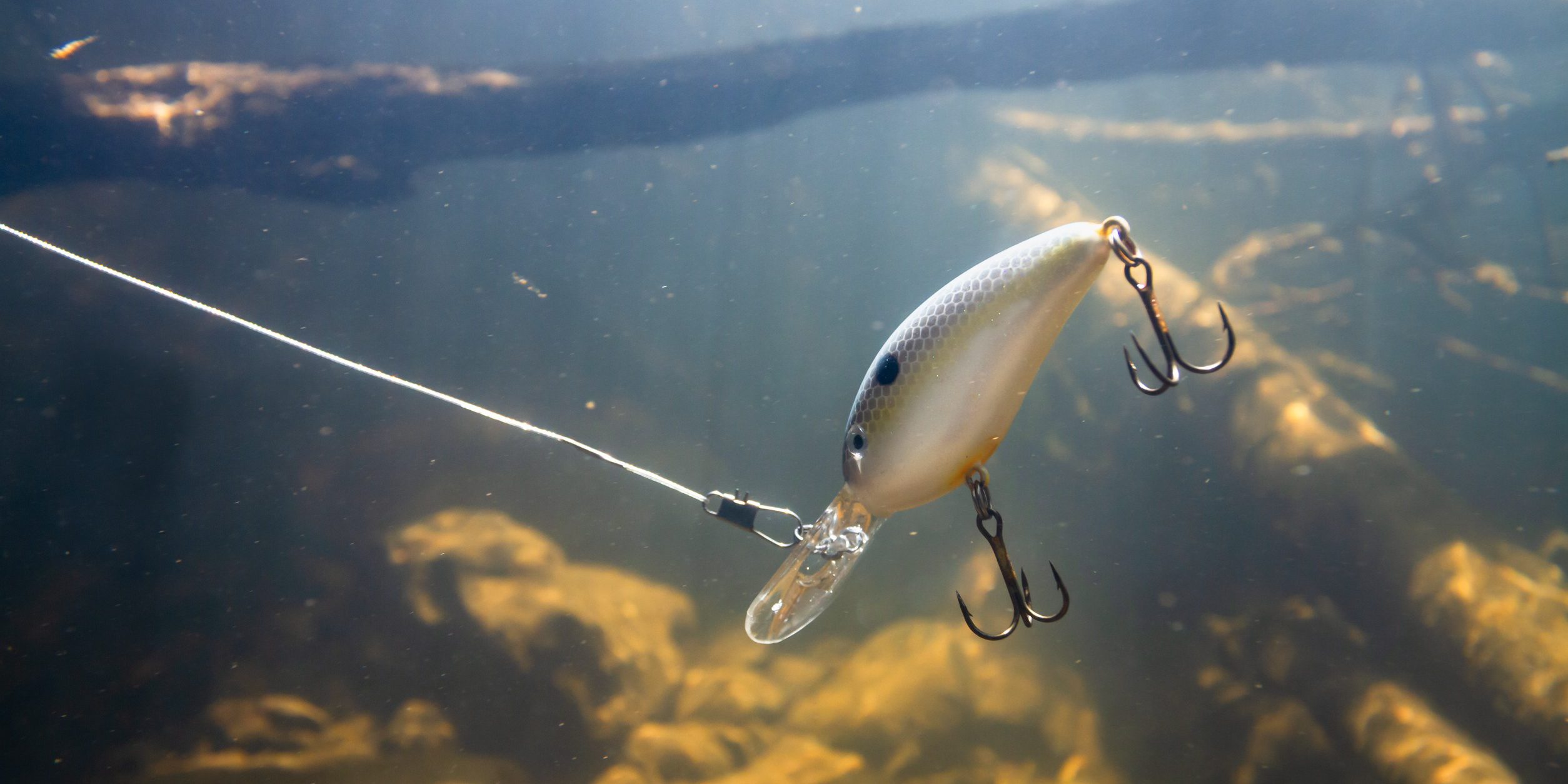 Fishing, Leaders, & Leadership