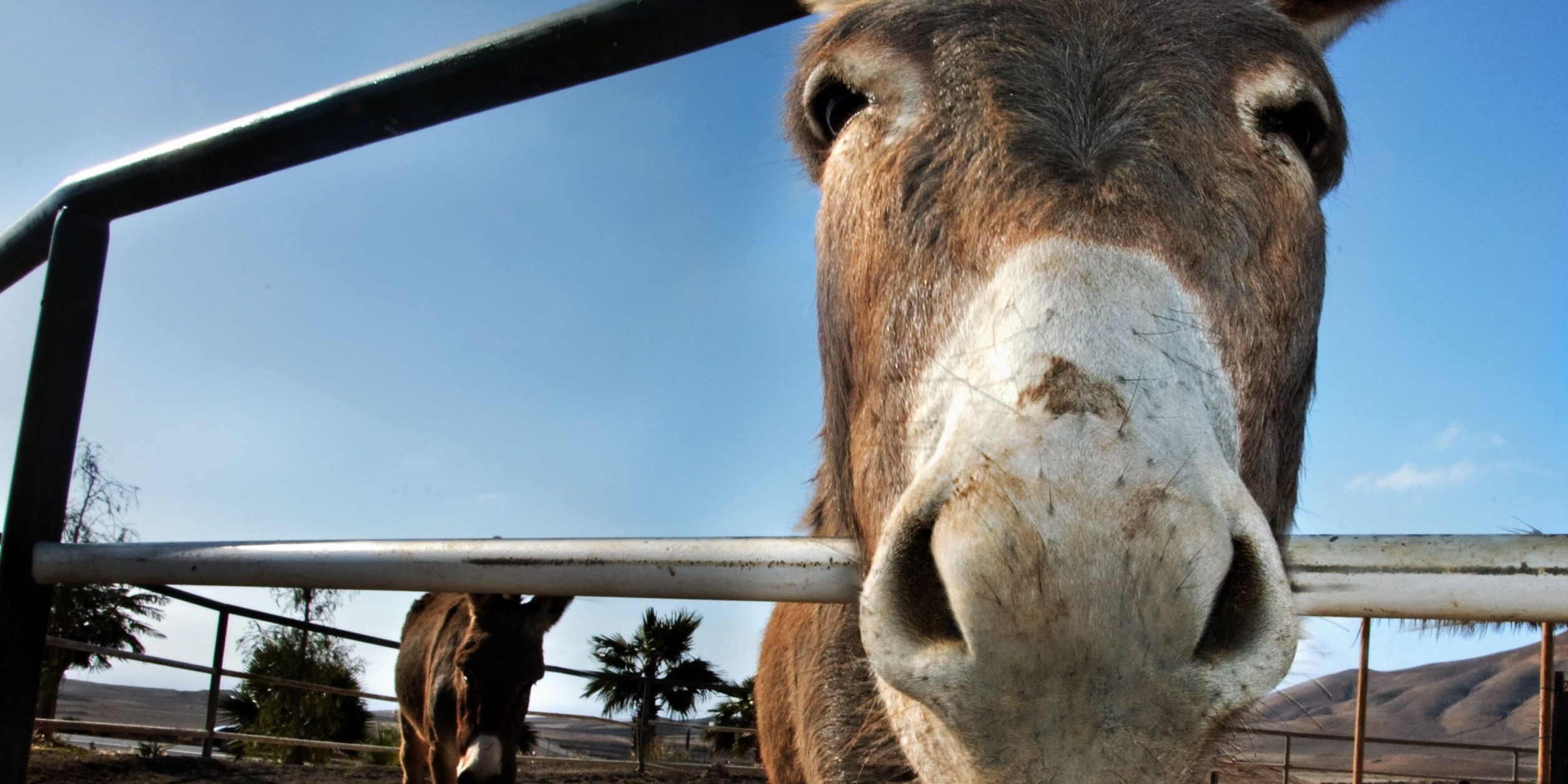 FAUX PAS #10 - BEING A JACKASS