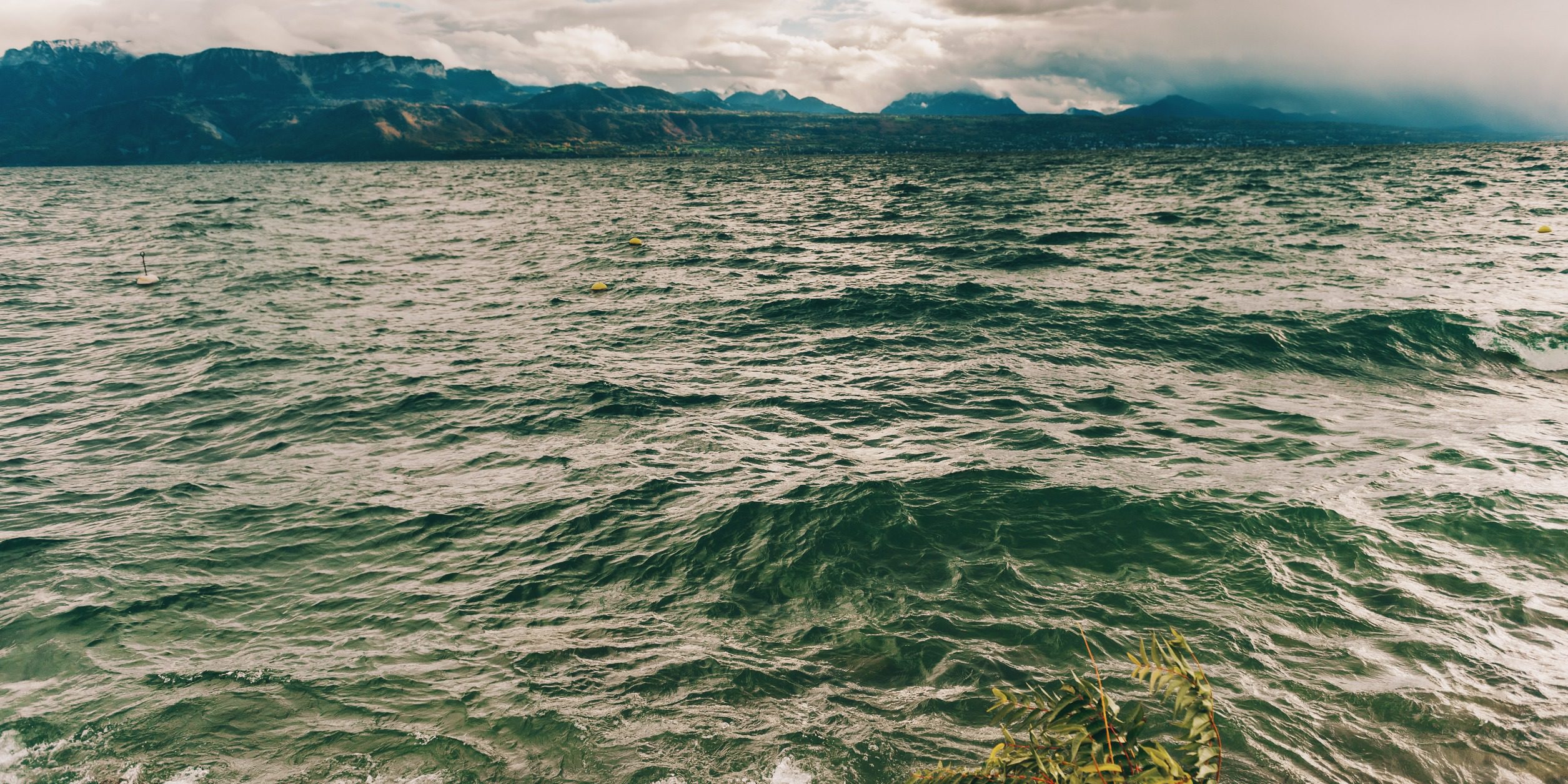 Who’s Controlling You and Your Thoughts Who's Controlling You and Your Thoughts