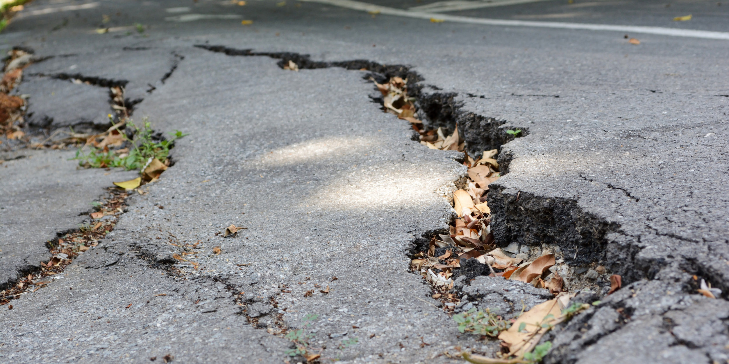 Be Divisive or Be Decisive - It's Your Choice!