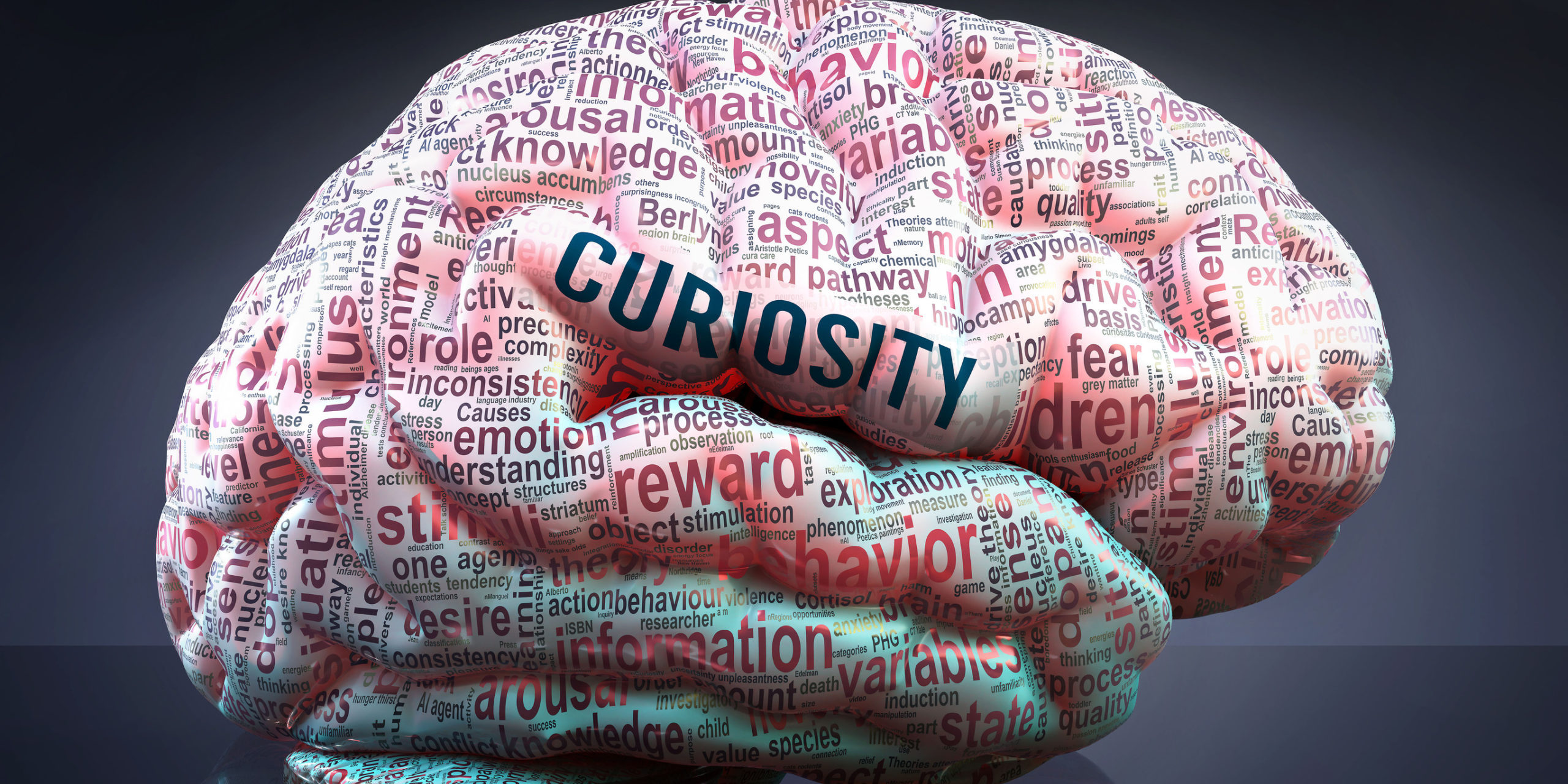 Your Leadership – Curiosity or Control