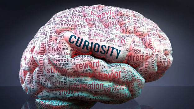 Your Leadership – Curiosity or Control