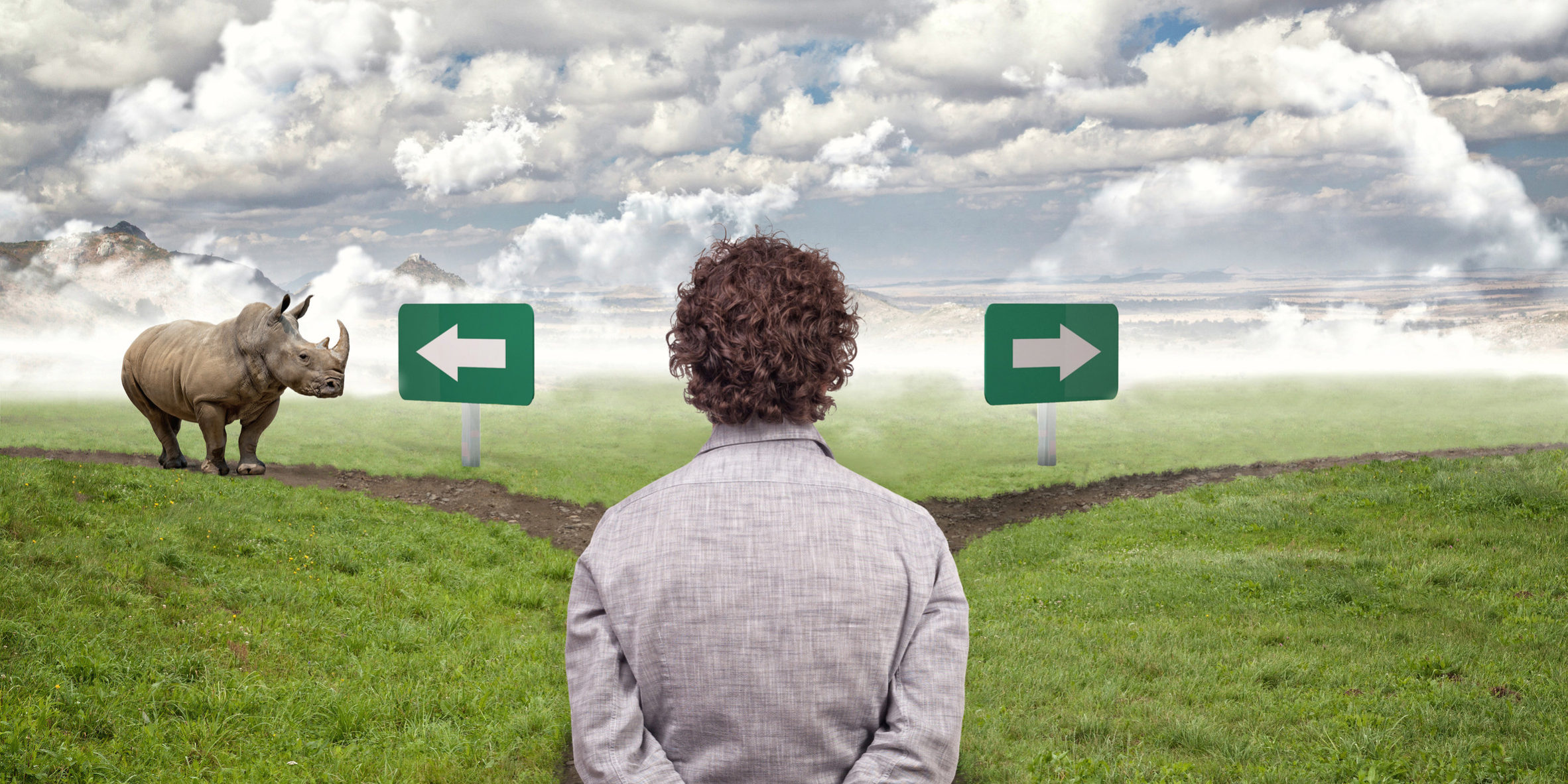 HOW DO YOU MAKE BIG DECISIONS