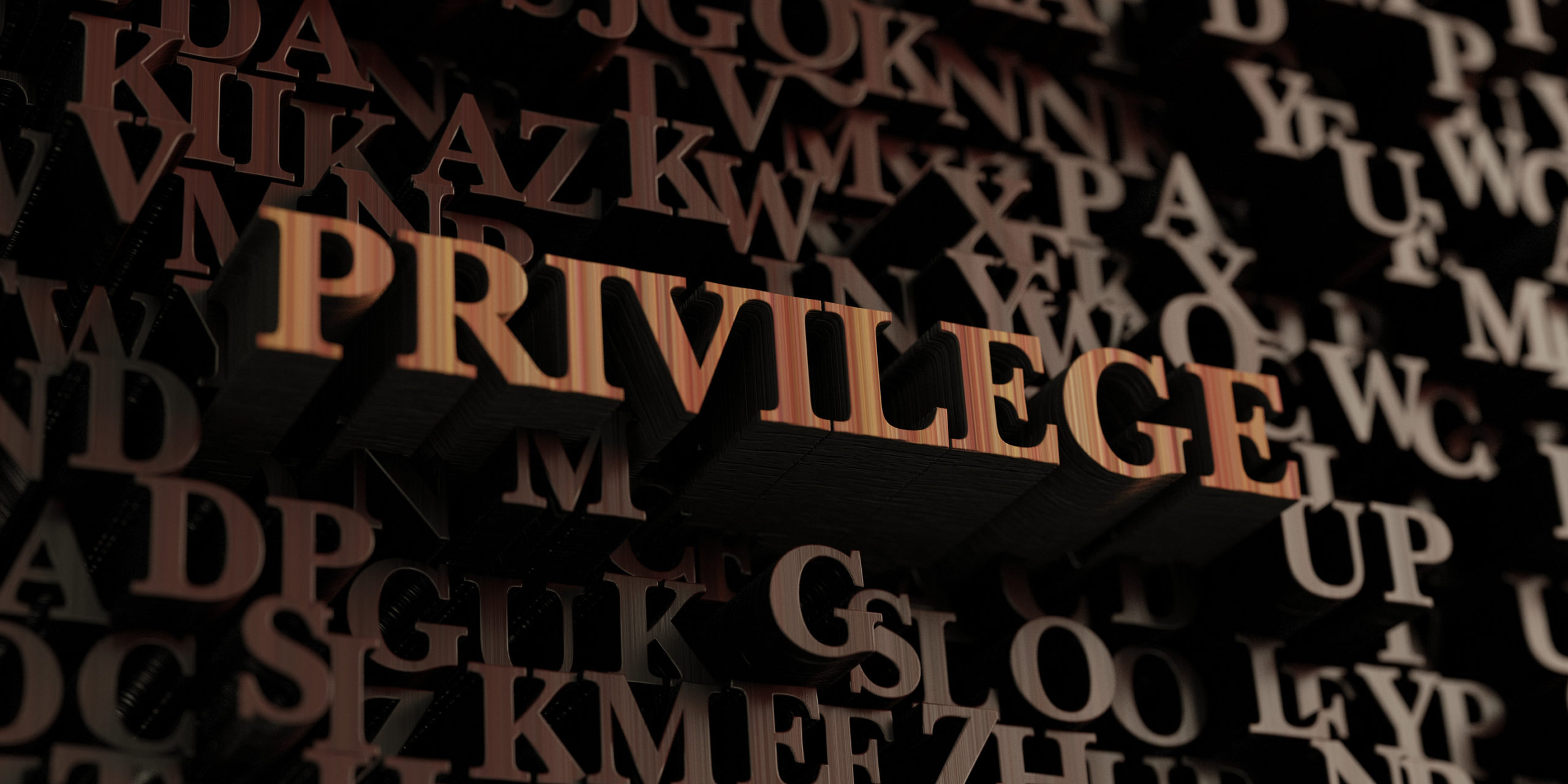 LEADERSHIP IS A PRIVILEGE