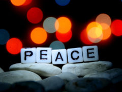 Are You Finding Peace in This Chaotic World