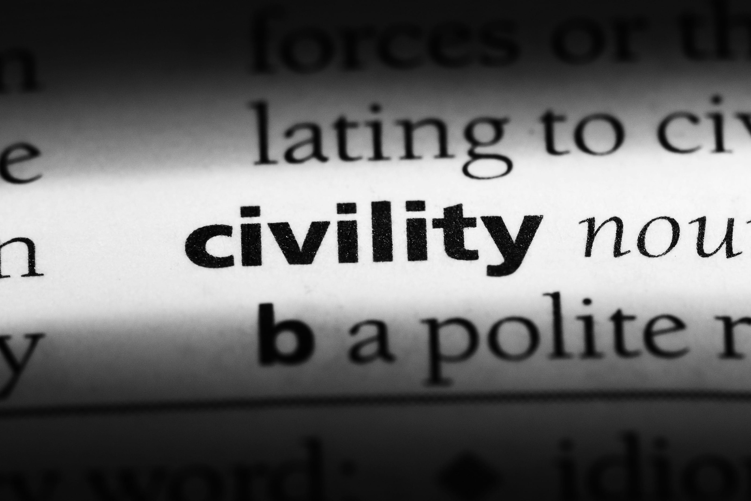 civics civility and you